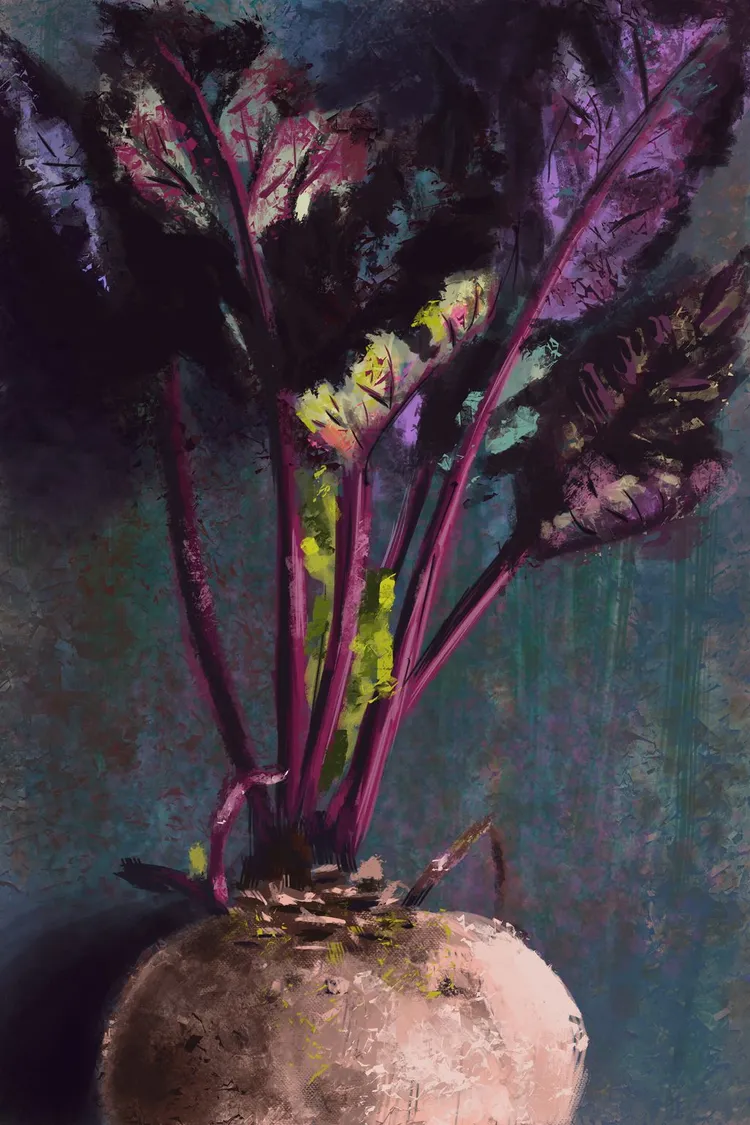 A painted close-up of a beetroot on a dark blue-green canvas